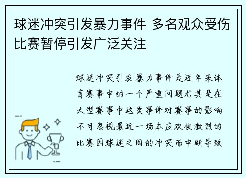 球迷冲突引发暴力事件 多名观众受伤比赛暂停引发广泛关注 球迷冲突引发暴力事件 多名观众受伤比赛暂停引发广泛关注